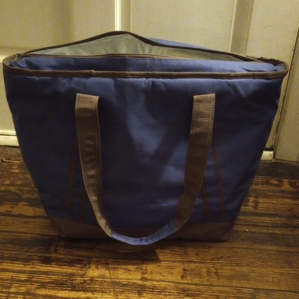 Stylish Blue and Brown Insulated Tote Bag